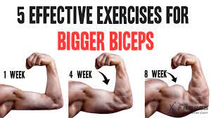 5 effective exercises for bigger biceps
