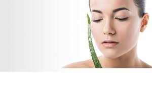 is aloe vera good for your face l