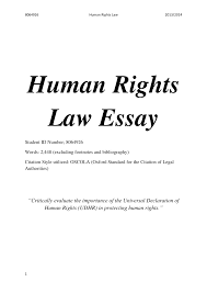 pdf human rights law essay the universal declaration of human rights pdf human rights law essay the universal declaration of human rights