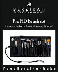 pro hd makeup brush set for beauty