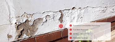 Damp Walls In The House Causes