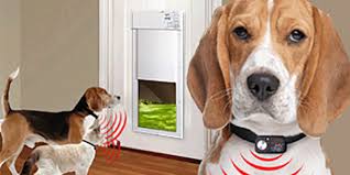 Power Pet Doors