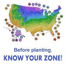 Usda Plant Hardiness Zone Map Wilson