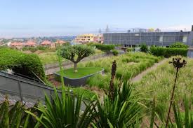 What Are The Advantages Of A Green Roof