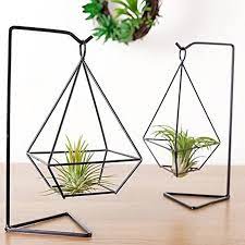 2 pack air plant holder metal stand for