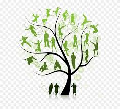 Family Tree Png Pic Trees For Family Reunion Clipart