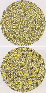 color vision deficiency exles