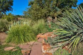 amarillo botanical gardens gardens