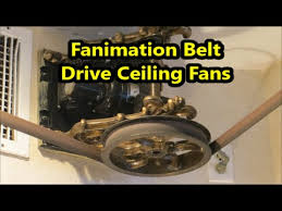 fanimation belt driven ceiling fans