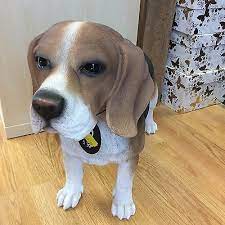 Arts Beagle Resin Dog Arts