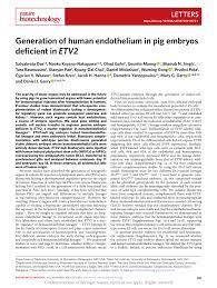 pig embryos deficient in ETV2 ...