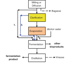 Process Flow Diagram Showing The Multiple Pathways For