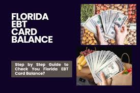 florida ebt card balance step by step