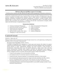Controller Resume Examples Penza Poisk