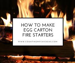 How To Make Egg Carton Fire Starters
