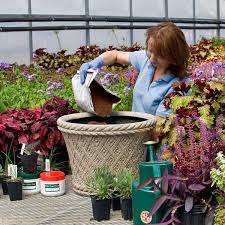 The Ultimate Guide To Container Gardening