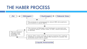 Lecture 8 Nitrogen Industries Industrial Chemistry Ppt