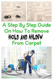 how to get mold out of carpet mold