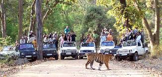 Safari viewrs siting tiger