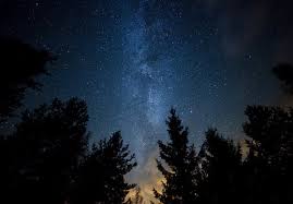 night sky trees images browse 860 104