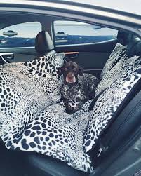 Keep Your Pet Comfy And Your Car Fur