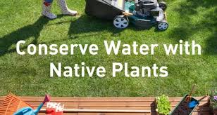 Conserve Water By Planting Native Wfaa