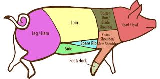 Pork Primal