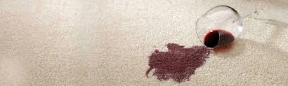 carpet stain removal services chem dry