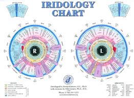 Studious Iridology Chart Brown Spots Iridology Iris Chart In