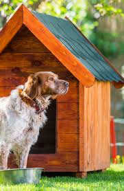 Diy Dog House Plans Outdoor Easy