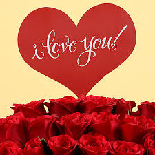 send i love you red roses box