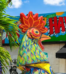 Little Havana, Miami: How To Reach, Best Time & Tips