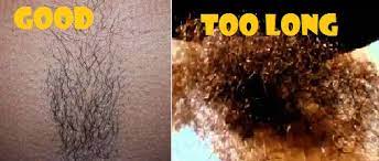 The technique gained popularity and is referred to as brazilian waxing. How Long Until Your Hair Grows Back After Waxing