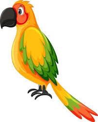 free parrot vector art