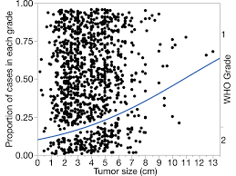 Relationship Between Tumor Location Size And Who Grade In