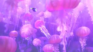 Find gifs with the latest and newest hashtags! Finding Nemo Dory Finding Dory Gif On Gifer By Saberweaver