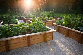 Is Heat Treated Wood Safe For Gardening