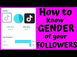 gender of your followers on tiktok