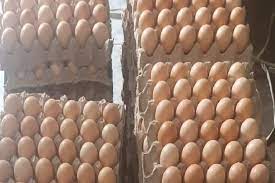Bahkan banyak dari mereka yang memproduksi telur baik yang di ambil dari ayam petelur sehingga apapun dan sebesar apapun melonjaknya harga telur ini pastinya akan memberikan dampak yang besar bagi pelaku pasaran. Harga Telur Ayam Di Jawa Bali Senin 21 September 2020 Bandung Dan Sukabumi Termahal Kabar Lumajang
