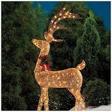 This is why we have made a large collection of outdoor christmas light displays which you can also buy online. 60 Glittering Champagne Lighted Deer At Big Lots Outdoor Christmas Decorations Lights Decorating With Christmas Lights Deer Light