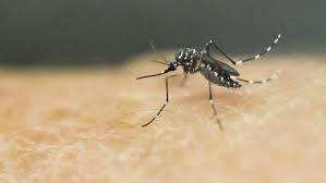 Mosquito-borne Washtenaw County Mosquitoes Confirmed as Carriers of West Nile and Jamestown Canyon Viruses