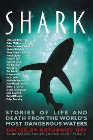 shark stories of life and from