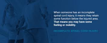 understanding spinal cord injury levels