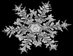 No snowflakes are the same. These stunning close-up photos are proof. - The  Washington Post