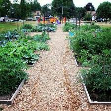 community gardens climateactionwr