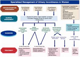 Acute and chronic management/urinary incontinence in adults. Investigation And Treatment Of Urinary Incontinence Sciencedirect