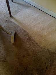 maryland carpet cleaning services