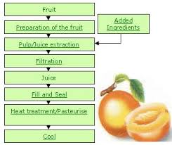 Fruit Juice Preparation Flow Chart And Mango