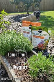 Rosemary Thyme Er Recipe From Our