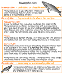 Information Reports   Volcanoes Facebook Report card comment ideas  Creekside Teacher Tales